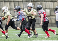 communty-football-Spartans-Warrioirs-Westshore-Goudy