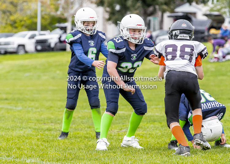 communty football Spartans Warrioirs Westshore Goudy SOUTHSIDE DAWGS  HARWOOD;communty football Spartans Warriors Westshore Goudy SOUTHSIDE DAWGS  HARWOOD cowichan bulldogs nanaimo footbAll isn