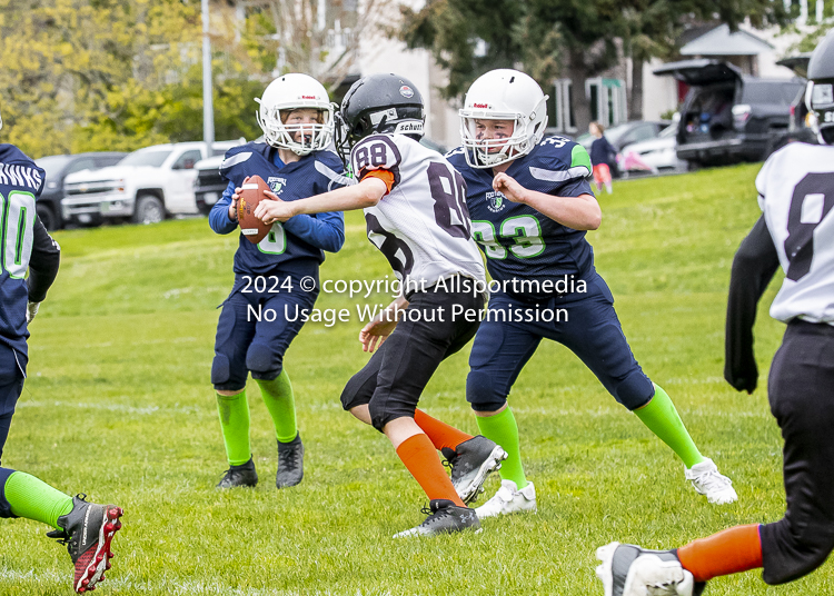 communty football Spartans Warrioirs Westshore Goudy SOUTHSIDE DAWGS  HARWOOD;communty football Spartans Warriors Westshore Goudy SOUTHSIDE DAWGS  HARWOOD cowichan bulldogs nanaimo footbAll isn