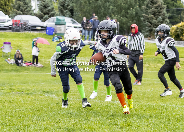 communty football Spartans Warrioirs Westshore Goudy SOUTHSIDE DAWGS  HARWOOD;communty football Spartans Warriors Westshore Goudy SOUTHSIDE DAWGS  HARWOOD cowichan bulldogs nanaimo footbAll isn