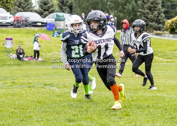 communty football Spartans Warrioirs Westshore Goudy SOUTHSIDE DAWGS  HARWOOD;communty football Spartans Warriors Westshore Goudy SOUTHSIDE DAWGS  HARWOOD cowichan bulldogs nanaimo footbAll isn