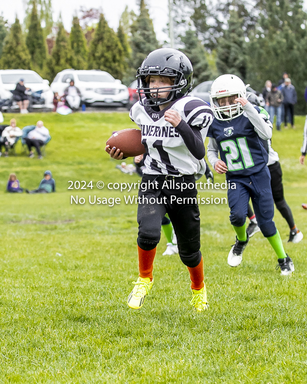 communty football Spartans Warrioirs Westshore Goudy SOUTHSIDE DAWGS  HARWOOD;communty football Spartans Warriors Westshore Goudy SOUTHSIDE DAWGS  HARWOOD cowichan bulldogs nanaimo footbAll isn