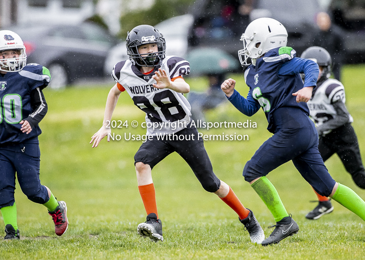 communty football Spartans Warrioirs Westshore Goudy SOUTHSIDE DAWGS  HARWOOD;communty football Spartans Warriors Westshore Goudy SOUTHSIDE DAWGS  HARWOOD cowichan bulldogs nanaimo footbAll isn