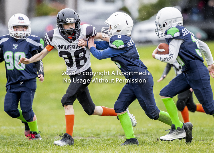 communty football Spartans Warrioirs Westshore Goudy SOUTHSIDE DAWGS  HARWOOD;communty football Spartans Warriors Westshore Goudy SOUTHSIDE DAWGS  HARWOOD cowichan bulldogs nanaimo footbAll isn