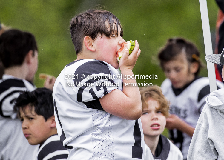 communty football Spartans Warrioirs Westshore Goudy SOUTHSIDE DAWGS  HARWOOD;communty football Spartans Warriors Westshore Goudy SOUTHSIDE DAWGS  HARWOOD cowichan bulldogs nanaimo footbAll isn