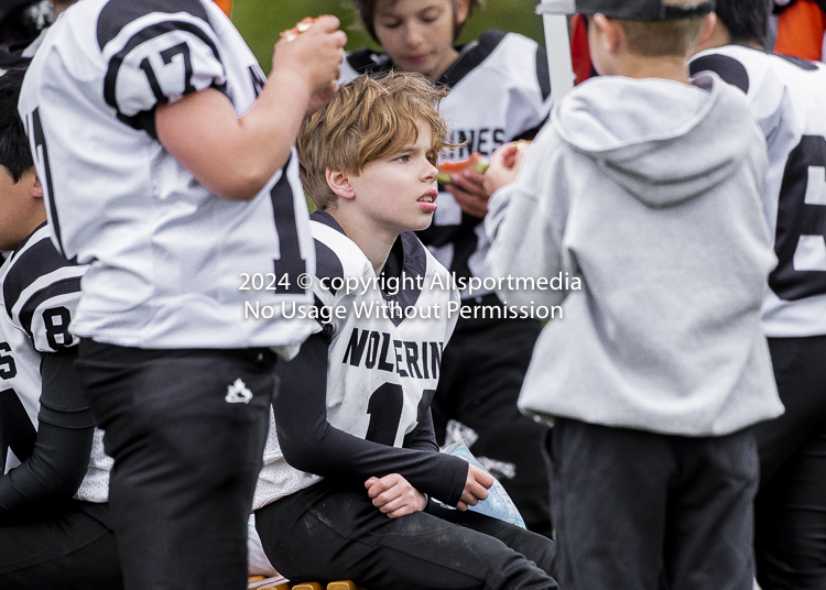 communty football Spartans Warrioirs Westshore Goudy SOUTHSIDE DAWGS  HARWOOD;communty football Spartans Warriors Westshore Goudy SOUTHSIDE DAWGS  HARWOOD cowichan bulldogs nanaimo footbAll isn