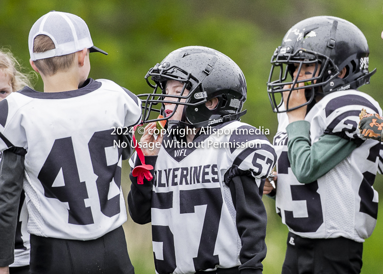 communty football Spartans Warrioirs Westshore Goudy SOUTHSIDE DAWGS  HARWOOD;communty football Spartans Warriors Westshore Goudy SOUTHSIDE DAWGS  HARWOOD cowichan bulldogs nanaimo footbAll isn