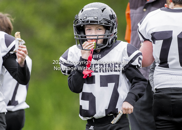 communty football Spartans Warrioirs Westshore Goudy SOUTHSIDE DAWGS  HARWOOD;communty football Spartans Warriors Westshore Goudy SOUTHSIDE DAWGS  HARWOOD cowichan bulldogs nanaimo footbAll isn