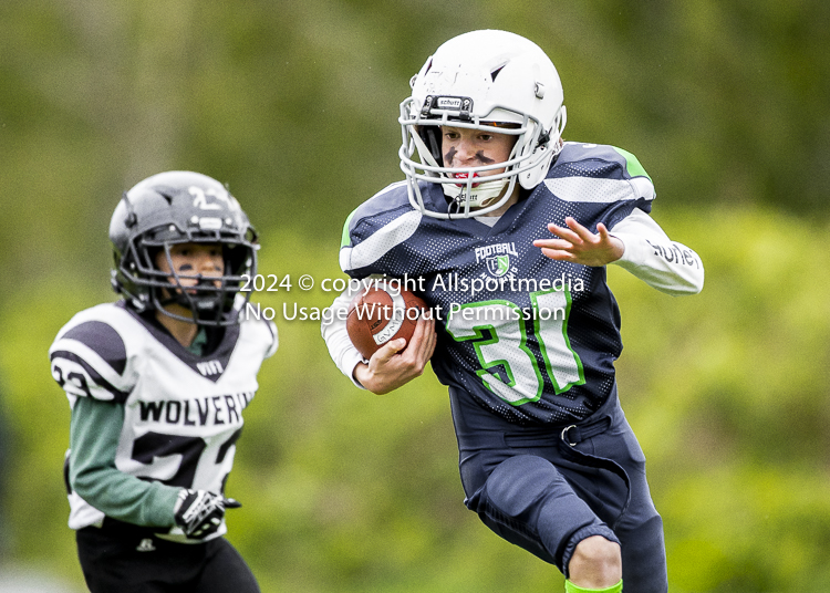 communty football Spartans Warrioirs Westshore Goudy SOUTHSIDE DAWGS  HARWOOD;communty football Spartans Warriors Westshore Goudy SOUTHSIDE DAWGS  HARWOOD cowichan bulldogs nanaimo footbAll isn