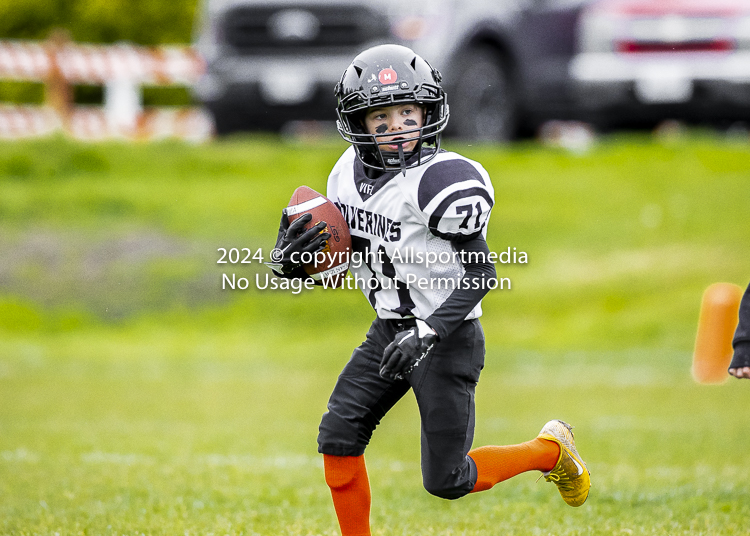 communty football Spartans Warrioirs Westshore Goudy SOUTHSIDE DAWGS  HARWOOD;communty football Spartans Warriors Westshore Goudy SOUTHSIDE DAWGS  HARWOOD cowichan bulldogs nanaimo footbAll isn