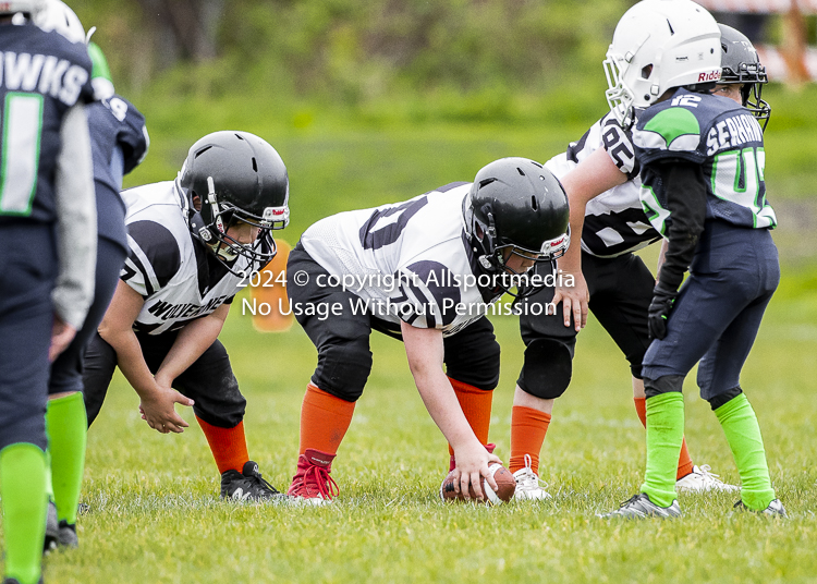 communty football Spartans Warrioirs Westshore Goudy SOUTHSIDE DAWGS  HARWOOD;communty football Spartans Warriors Westshore Goudy SOUTHSIDE DAWGS  HARWOOD cowichan bulldogs nanaimo footbAll isn