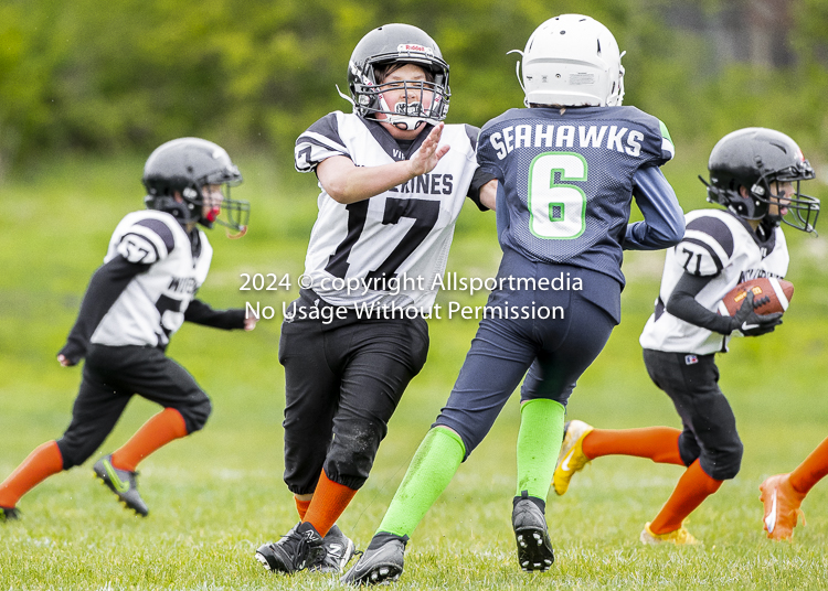 communty football Spartans Warrioirs Westshore Goudy SOUTHSIDE DAWGS  HARWOOD;communty football Spartans Warriors Westshore Goudy SOUTHSIDE DAWGS  HARWOOD cowichan bulldogs nanaimo footbAll isn