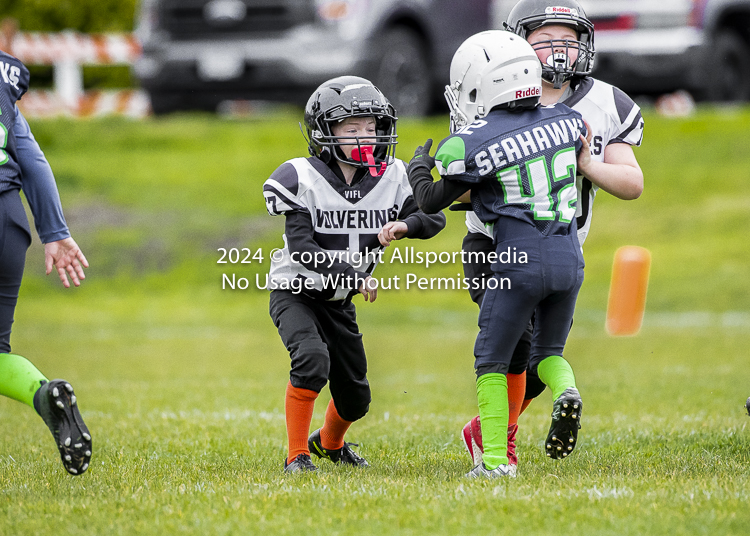 communty football Spartans Warrioirs Westshore Goudy SOUTHSIDE DAWGS  HARWOOD;communty football Spartans Warriors Westshore Goudy SOUTHSIDE DAWGS  HARWOOD cowichan bulldogs nanaimo footbAll isn