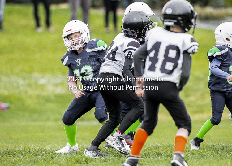 communty football Spartans Warrioirs Westshore Goudy SOUTHSIDE DAWGS  HARWOOD;communty football Spartans Warriors Westshore Goudy SOUTHSIDE DAWGS  HARWOOD cowichan bulldogs nanaimo footbAll isn