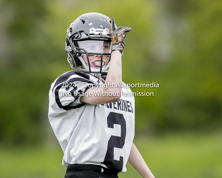 communty football Spartans Warrioirs Westshore Goudy SOUTHSIDE DAWGS  HARWOOD;communty football Spartans Warriors Westshore Goudy SOUTHSIDE DAWGS  HARWOOD cowichan bulldogs nanaimo footbAll isn