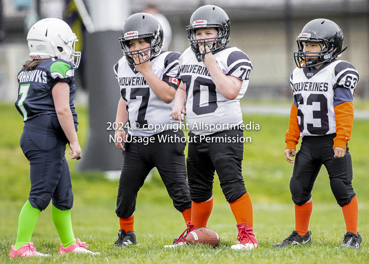 communty football Spartans Warrioirs Westshore Goudy SOUTHSIDE DAWGS  HARWOOD;communty football Spartans Warriors Westshore Goudy SOUTHSIDE DAWGS  HARWOOD cowichan bulldogs nanaimo footbAll isn