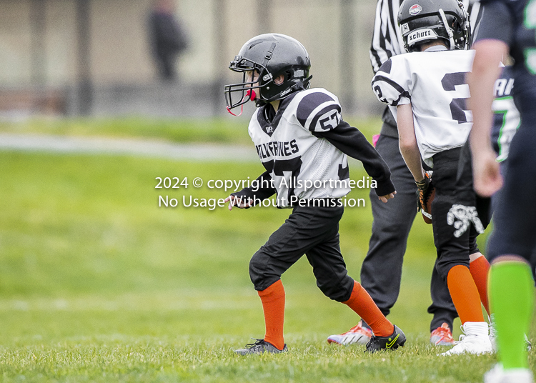 communty football Spartans Warrioirs Westshore Goudy SOUTHSIDE DAWGS  HARWOOD;communty football Spartans Warriors Westshore Goudy SOUTHSIDE DAWGS  HARWOOD cowichan bulldogs nanaimo footbAll isn