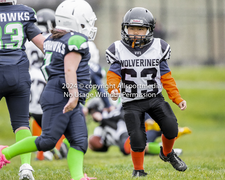 communty football Spartans Warrioirs Westshore Goudy SOUTHSIDE DAWGS  HARWOOD;communty football Spartans Warriors Westshore Goudy SOUTHSIDE DAWGS  HARWOOD cowichan bulldogs nanaimo footbAll isn