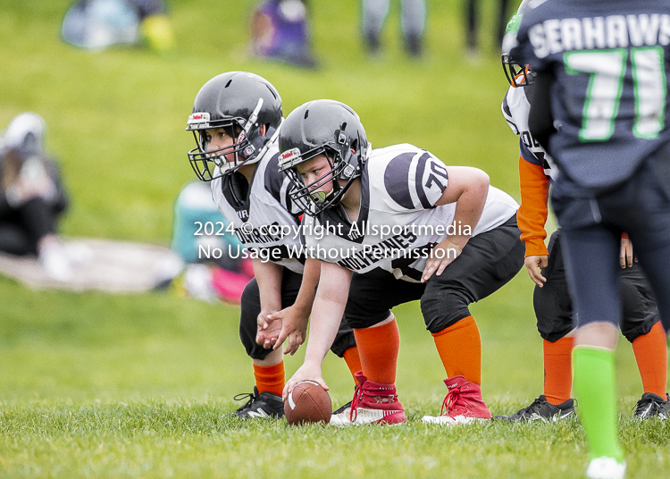 communty football Spartans Warrioirs Westshore Goudy SOUTHSIDE DAWGS  HARWOOD;communty football Spartans Warriors Westshore Goudy SOUTHSIDE DAWGS  HARWOOD cowichan bulldogs nanaimo footbAll isn