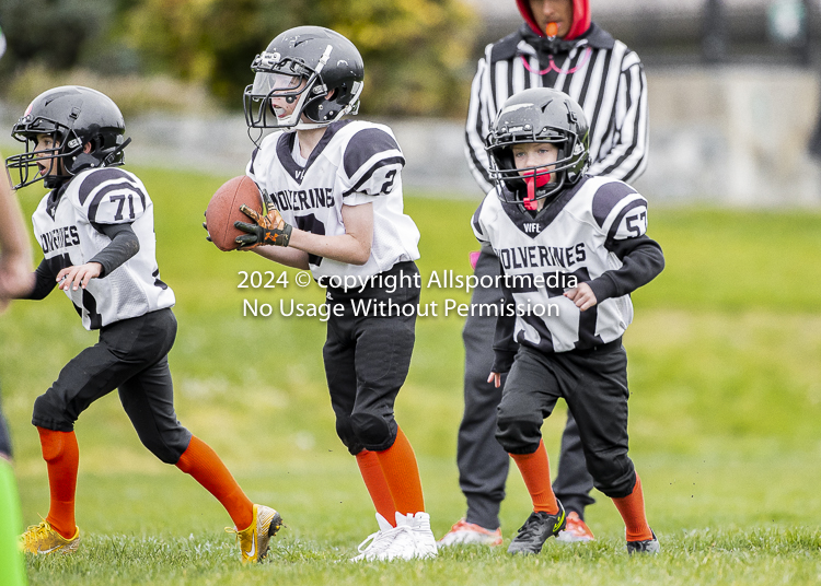 communty football Spartans Warrioirs Westshore Goudy SOUTHSIDE DAWGS  HARWOOD;communty football Spartans Warriors Westshore Goudy SOUTHSIDE DAWGS  HARWOOD cowichan bulldogs nanaimo footbAll isn