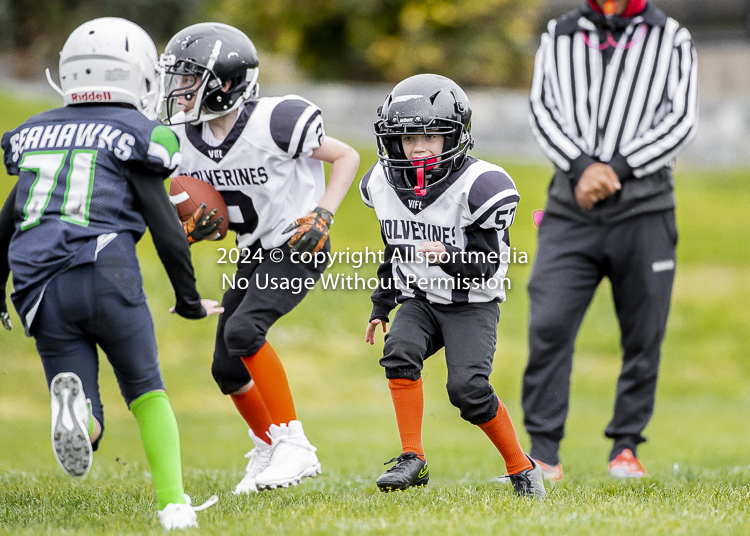 communty football Spartans Warrioirs Westshore Goudy SOUTHSIDE DAWGS  HARWOOD;communty football Spartans Warriors Westshore Goudy SOUTHSIDE DAWGS  HARWOOD cowichan bulldogs nanaimo footbAll isn