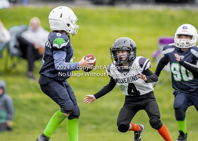 communty football Spartans Warrioirs Westshore Goudy SOUTHSIDE DAWGS  HARWOOD;communty football Spartans Warriors Westshore Goudy SOUTHSIDE DAWGS  HARWOOD cowichan bulldogs nanaimo footbAll isn