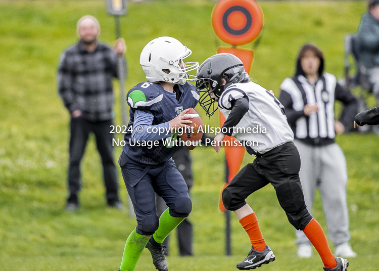 communty football Spartans Warrioirs Westshore Goudy SOUTHSIDE DAWGS  HARWOOD;communty football Spartans Warriors Westshore Goudy SOUTHSIDE DAWGS  HARWOOD cowichan bulldogs nanaimo footbAll isn