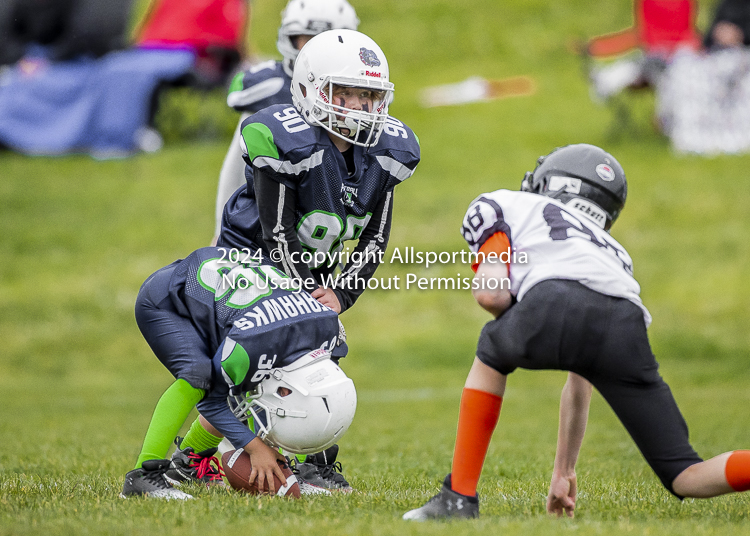 communty football Spartans Warrioirs Westshore Goudy SOUTHSIDE DAWGS  HARWOOD;communty football Spartans Warriors Westshore Goudy SOUTHSIDE DAWGS  HARWOOD cowichan bulldogs nanaimo footbAll isn