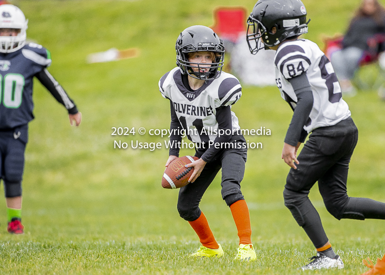 communty football Spartans Warrioirs Westshore Goudy SOUTHSIDE DAWGS  HARWOOD;communty football Spartans Warriors Westshore Goudy SOUTHSIDE DAWGS  HARWOOD cowichan bulldogs nanaimo footbAll isn