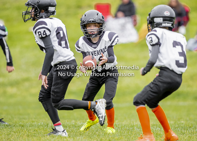 communty football Spartans Warrioirs Westshore Goudy SOUTHSIDE DAWGS  HARWOOD;communty football Spartans Warriors Westshore Goudy SOUTHSIDE DAWGS  HARWOOD cowichan bulldogs nanaimo footbAll isn