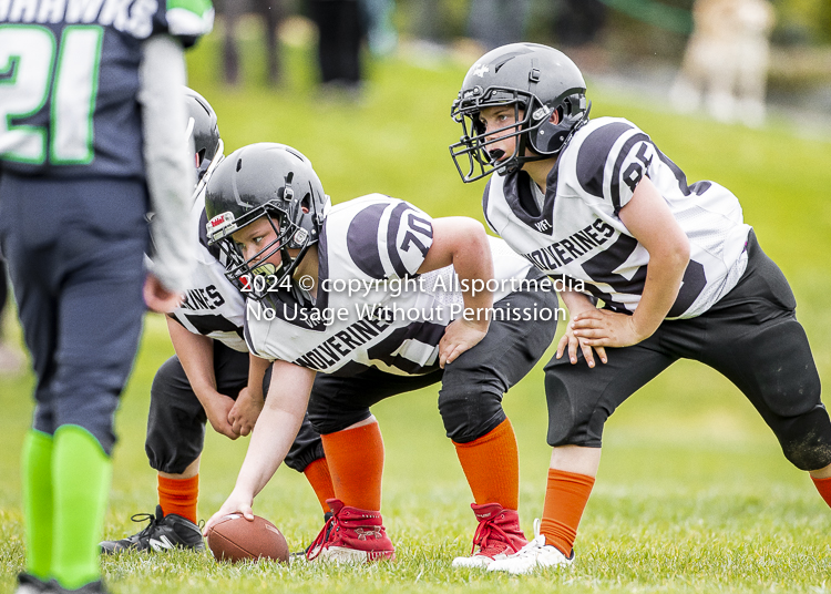 communty football Spartans Warrioirs Westshore Goudy SOUTHSIDE DAWGS  HARWOOD;communty football Spartans Warriors Westshore Goudy SOUTHSIDE DAWGS  HARWOOD cowichan bulldogs nanaimo footbAll isn