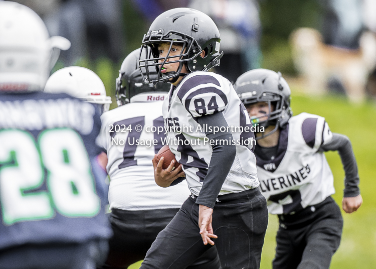 communty football Spartans Warrioirs Westshore Goudy SOUTHSIDE DAWGS  HARWOOD;communty football Spartans Warriors Westshore Goudy SOUTHSIDE DAWGS  HARWOOD cowichan bulldogs nanaimo footbAll isn