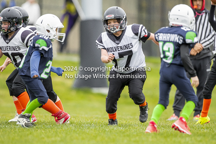 communty football Spartans Warrioirs Westshore Goudy SOUTHSIDE DAWGS  HARWOOD;communty football Spartans Warriors Westshore Goudy SOUTHSIDE DAWGS  HARWOOD cowichan bulldogs nanaimo footbAll isn