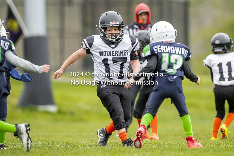 communty football Spartans Warrioirs Westshore Goudy SOUTHSIDE DAWGS  HARWOOD;communty football Spartans Warriors Westshore Goudy SOUTHSIDE DAWGS  HARWOOD cowichan bulldogs nanaimo footbAll isn