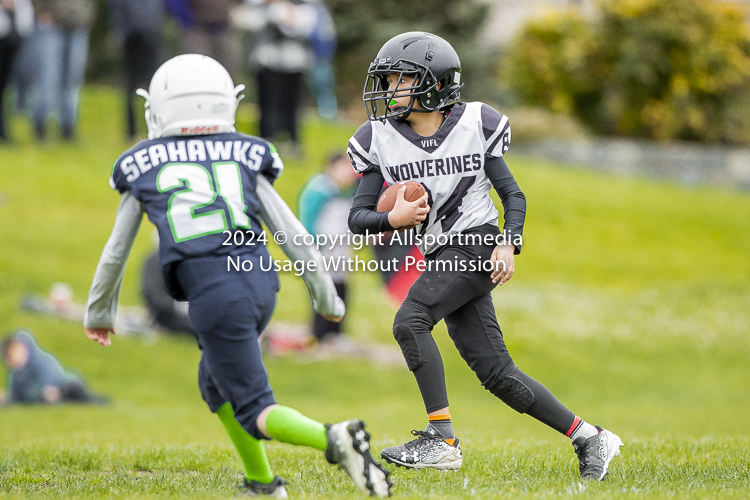 communty football Spartans Warrioirs Westshore Goudy SOUTHSIDE DAWGS  HARWOOD;communty football Spartans Warriors Westshore Goudy SOUTHSIDE DAWGS  HARWOOD cowichan bulldogs nanaimo footbAll isn