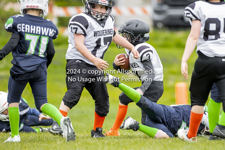 communty football Spartans Warrioirs Westshore Goudy SOUTHSIDE DAWGS  HARWOOD;communty football Spartans Warriors Westshore Goudy SOUTHSIDE DAWGS  HARWOOD cowichan bulldogs nanaimo footbAll isn