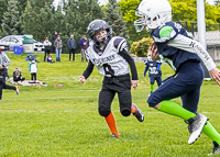 communty-football-Spartans-Warrioirs-Westshore-Goudy-SOUTHSIDE-DAWGS-HARWOOD;communty-football-Spartans-Warriors-Westshore-Goudy-SOUTHSIDE-DAWGS-HARWOOD-cowichan-bulldogs-nanaimo-footbAll-isn