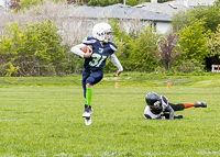 communty-football-Spartans-Warrioirs-Westshore-Goudy-SOUTHSIDE-DAWGS-HARWOOD;communty-football-Spartans-Warriors-Westshore-Goudy-SOUTHSIDE-DAWGS-HARWOOD-cowichan-bulldogs-nanaimo-footbAll-isn