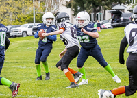 communty-football-Spartans-Warrioirs-Westshore-Goudy-SOUTHSIDE-DAWGS-HARWOOD;communty-football-Spartans-Warriors-Westshore-Goudy-SOUTHSIDE-DAWGS-HARWOOD-cowichan-bulldogs-nanaimo-footbAll-isn