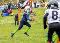 communty-football-Spartans-Warrioirs-Westshore-Goudy-SOUTHSIDE-DAWGS-HARWOOD;communty-football-Spartans-Warriors-Westshore-Goudy-SOUTHSIDE-DAWGS-HARWOOD-cowichan-bulldogs-nanaimo-footbAll-isn