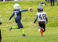 communty-football-Spartans-Warrioirs-Westshore-Goudy-SOUTHSIDE-DAWGS-HARWOOD;communty-football-Spartans-Warriors-Westshore-Goudy-SOUTHSIDE-DAWGS-HARWOOD-cowichan-bulldogs-nanaimo-footbAll-isn