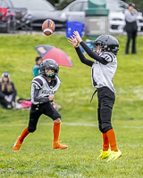 communty-football-Spartans-Warrioirs-Westshore-Goudy-SOUTHSIDE-DAWGS-HARWOOD;communty-football-Spartans-Warriors-Westshore-Goudy-SOUTHSIDE-DAWGS-HARWOOD-cowichan-bulldogs-nanaimo-footbAll-isn