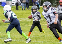 communty-football-Spartans-Warrioirs-Westshore-Goudy-SOUTHSIDE-DAWGS-HARWOOD;communty-football-Spartans-Warriors-Westshore-Goudy-SOUTHSIDE-DAWGS-HARWOOD-cowichan-bulldogs-nanaimo-footbAll-isn