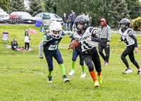 communty-football-Spartans-Warrioirs-Westshore-Goudy-SOUTHSIDE-DAWGS-HARWOOD;communty-football-Spartans-Warriors-Westshore-Goudy-SOUTHSIDE-DAWGS-HARWOOD-cowichan-bulldogs-nanaimo-footbAll-isn