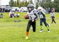 communty-football-Spartans-Warrioirs-Westshore-Goudy-SOUTHSIDE-DAWGS-HARWOOD;communty-football-Spartans-Warriors-Westshore-Goudy-SOUTHSIDE-DAWGS-HARWOOD-cowichan-bulldogs-nanaimo-footbAll-isn