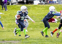 communty-football-Spartans-Warrioirs-Westshore-Goudy-SOUTHSIDE-DAWGS-HARWOOD;communty-football-Spartans-Warriors-Westshore-Goudy-SOUTHSIDE-DAWGS-HARWOOD-cowichan-bulldogs-nanaimo-footbAll-isn