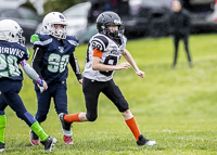 communty-football-Spartans-Warrioirs-Westshore-Goudy-SOUTHSIDE-DAWGS-HARWOOD;communty-football-Spartans-Warriors-Westshore-Goudy-SOUTHSIDE-DAWGS-HARWOOD-cowichan-bulldogs-nanaimo-footbAll-isn