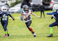 communty-football-Spartans-Warrioirs-Westshore-Goudy-SOUTHSIDE-DAWGS-HARWOOD;communty-football-Spartans-Warriors-Westshore-Goudy-SOUTHSIDE-DAWGS-HARWOOD-cowichan-bulldogs-nanaimo-footbAll-isn