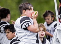 communty-football-Spartans-Warrioirs-Westshore-Goudy-SOUTHSIDE-DAWGS-HARWOOD;communty-football-Spartans-Warriors-Westshore-Goudy-SOUTHSIDE-DAWGS-HARWOOD-cowichan-bulldogs-nanaimo-footbAll-isn