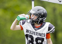 communty-football-Spartans-Warrioirs-Westshore-Goudy-SOUTHSIDE-DAWGS-HARWOOD;communty-football-Spartans-Warriors-Westshore-Goudy-SOUTHSIDE-DAWGS-HARWOOD-cowichan-bulldogs-nanaimo-footbAll-isn